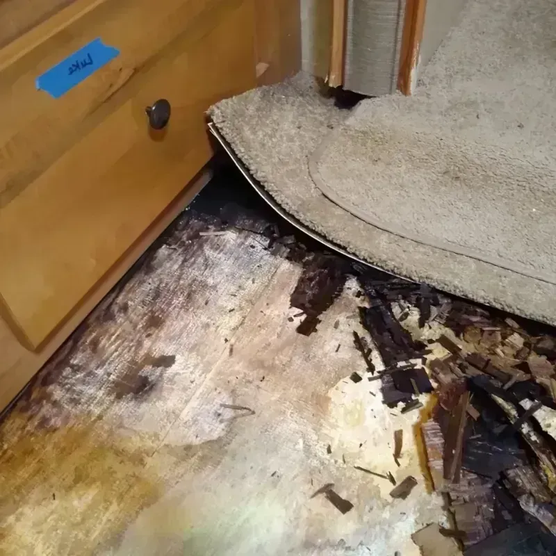 Wood Floor Water Damage in La Grande, OR